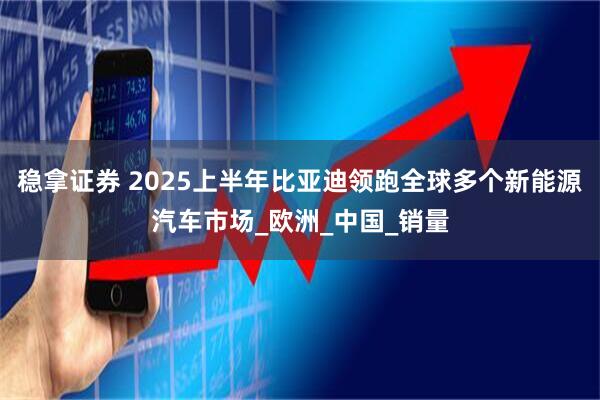 稳拿证券 2025上半年比亚迪领跑全球多个新能源汽车市场_欧洲_中国_销量